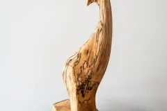 bird form