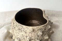 spikybowl2-scaled